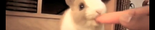 [Nom Nom Nom Nom Nom Nom Nom]