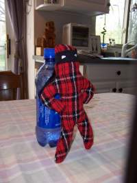 [Tiny Plaid Plush 2]