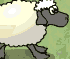 [Flash]