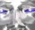 [Flash]