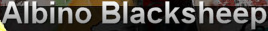 Albino Blacksheep