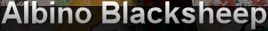 Albino Blacksheep