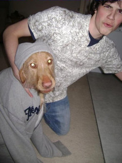 Tim Jewell pictured with Baxter the dog