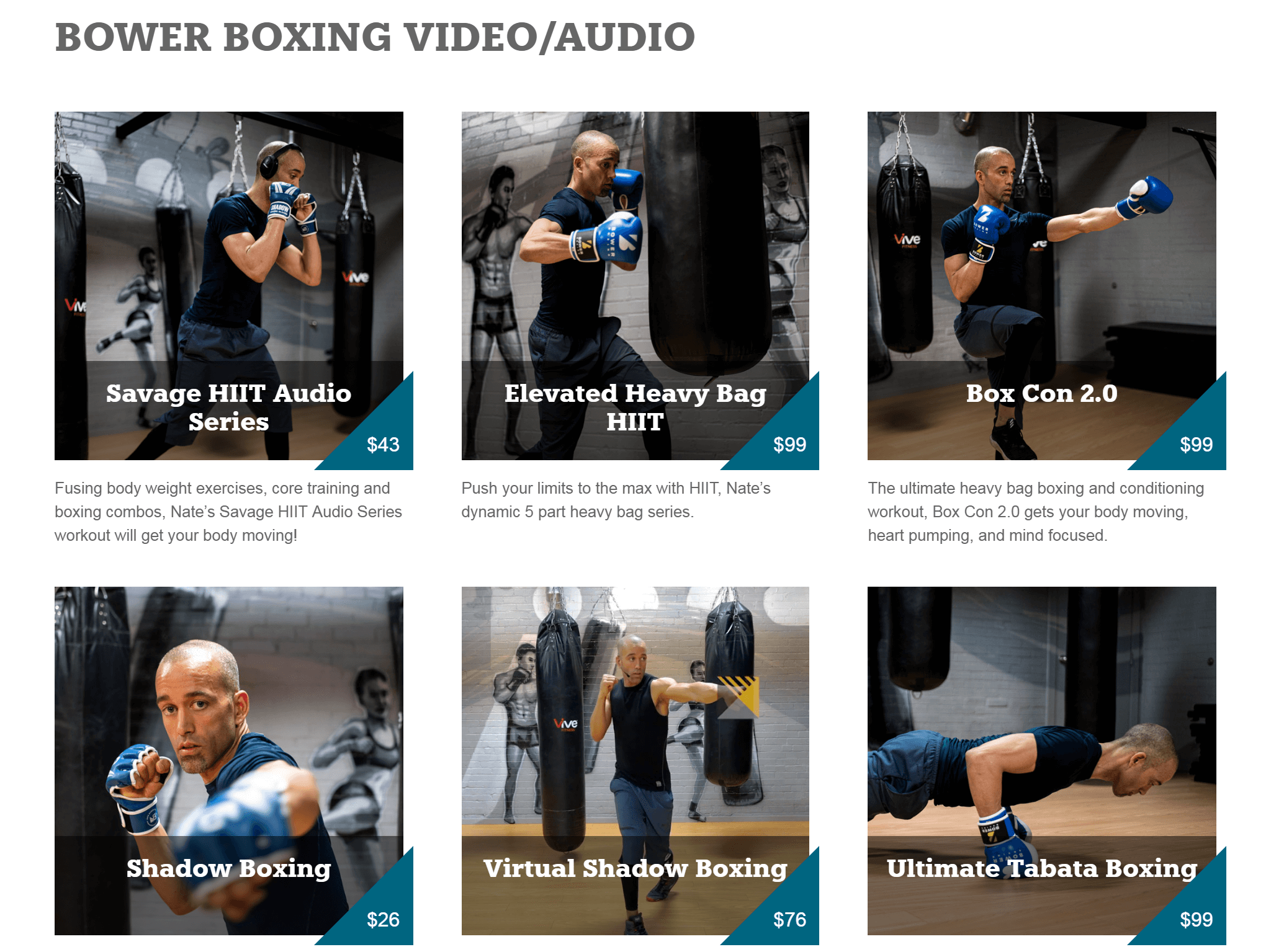 /design/img/screenshot/natebowerfitness.com-ipad-3.png