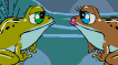 Frog Enigma