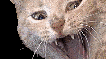 Litterbox