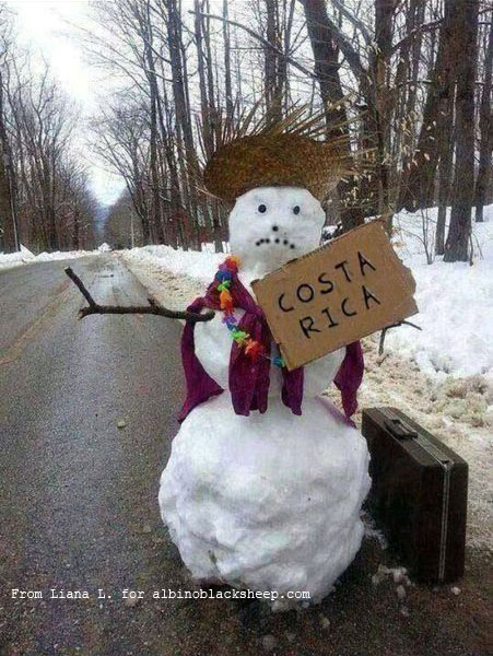 Hitchhiking Snowman