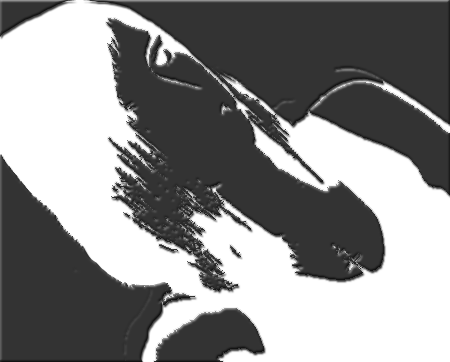 [Last image]
