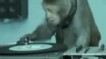 Basement Jaxx - Where's Your Head At?